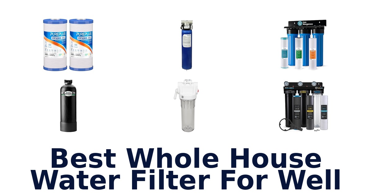 best whole house water filter for well